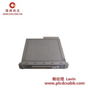 ICS Triplex PLC Trusted T8231 模塊