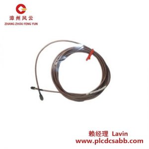 Bently Nevada 探頭延長(zhǎng)線 EC-1001/40