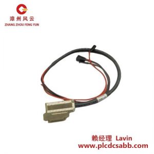 霍尼韋爾 FS-PDC-FTA24P 電源分配電纜
