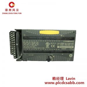 GE IC200MDD842J 24VDC輸出混合型16點(diǎn)輸入模塊