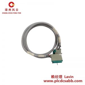 TRICONEX 4000093-310 擴(kuò)展型PLC控制器